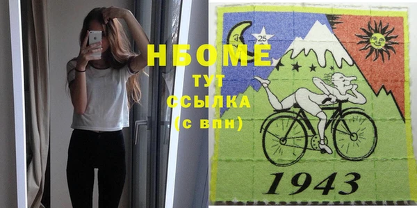 хмурый Бородино