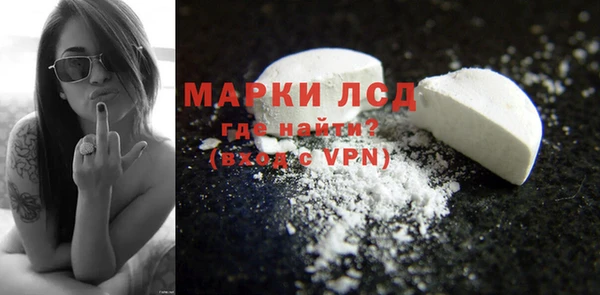 хмурый Бородино
