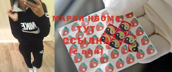 хмурый Бородино
